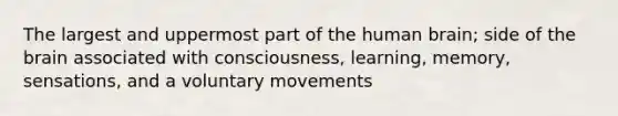 The largest and uppermost part of the human brain; side of the brain associated with consciousness, learning, memory, sensations, and a voluntary movements