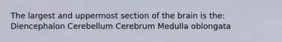 The largest and uppermost section of the brain is the: Diencephalon Cerebellum Cerebrum Medulla oblongata