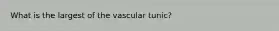 What is the largest of the vascular tunic?