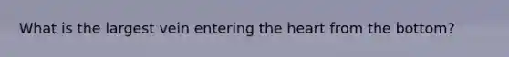 What is the largest vein entering the heart from the bottom?