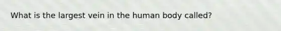 What is the largest vein in the human body called?