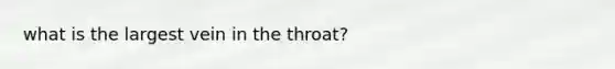 what is the largest vein in the throat?