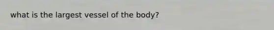 what is the largest vessel of the body?