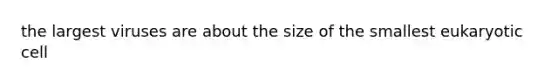 the largest viruses are about the size of the smallest eukaryotic cell