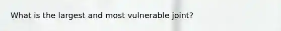 What is the largest and most vulnerable joint?