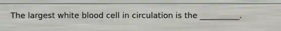 The largest white blood cell in circulation is the __________.