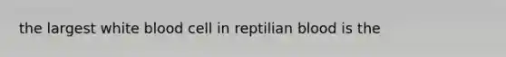 the largest white blood cell in reptilian blood is the