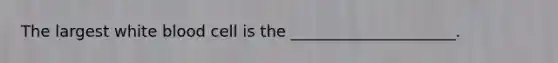 The largest white blood cell is the _____________________.