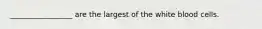 _________________ are the largest of the white blood cells.