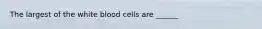 The largest of the white blood cells are ______