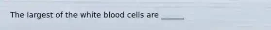 The largest of the white blood cells are ______