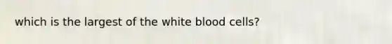 which is the largest of the white blood cells?