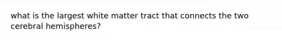 what is the largest white matter tract that connects the two cerebral hemispheres?