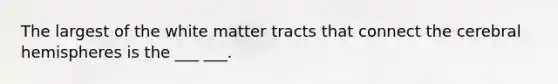 The largest of the white matter tracts that connect the cerebral hemispheres is the ___ ___.