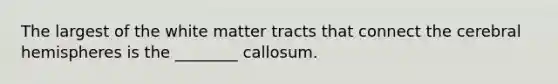 The largest of the white matter tracts that connect the cerebral hemispheres is the ________ callosum.