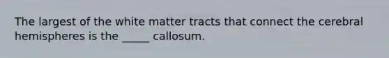 The largest of the white matter tracts that connect the cerebral hemispheres is the _____ callosum.