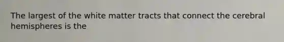 The largest of the white matter tracts that connect the cerebral hemispheres is the