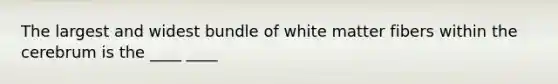 The largest and widest bundle of white matter fibers within the cerebrum is the ____ ____