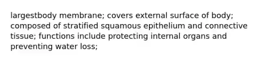 largestbody membrane; covers external surface of body; composed of stratified squamous epithelium and connective tissue; functions include protecting internal organs and preventing water loss;