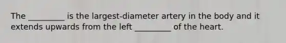 The _________ is the largest-diameter artery in the body and it extends upwards from the left _________ of the heart.