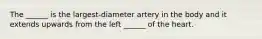 The ______ is the largest-diameter artery in the body and it extends upwards from the left ______ of the heart.