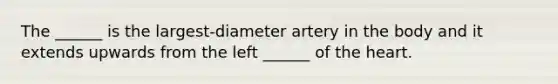 The ______ is the largest-diameter artery in the body and it extends upwards from the left ______ of the heart.