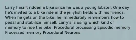 Larry hasn't ridden a bike since he was a young lobster. One day he's invited to a bike ride in the jellyfish fields with his friends. When he gets on the bike, he immediately remembers how to pedal and stabilize himself. Larry's is using which kind of memory to ride the bike: Procedural processing Episodic memory Processed memory Procedural Neurons