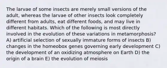 The larvae of some insects are merely small versions of the adult, whereas the larvae of other insects look completely different from adults, eat different foods, and may live in different habitats. Which of the following is most directly involved in the evolution of these variations in metamorphosis? A) artificial selection of sexually immature forms of insects B) changes in the homeobox genes governing early development C) the development of an oxidizing atmosphere on Earth D) the origin of a brain E) the evolution of meiosis