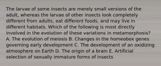 The larvae of some insects are merely small versions of the adult, whereas the larvae of other insects look completely different from adults, eat different foods, and may live in different habitats. Which of the following is most directly involved in the evolution of these variations in metamorphosis? A. The evolution of meiosis B. Changes in the homeobox genes governing early development C. The development of an oxidizing atmosphere on Earth D. The origin of a brain E. Artificial selection of sexually immature forms of insects