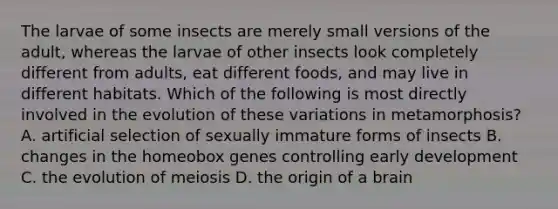 The larvae of some insects are merely small versions of the adult, whereas the larvae of other insects look completely different from adults, eat different foods, and may live in different habitats. Which of the following is most directly involved in the evolution of these variations in metamorphosis? A. artificial selection of sexually immature forms of insects B. changes in the homeobox genes controlling early development C. the evolution of meiosis D. the origin of a brain