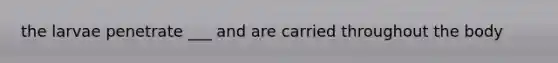 the larvae penetrate ___ and are carried throughout the body