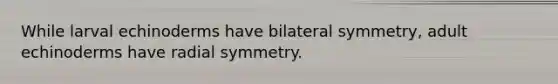 While larval echinoderms have bilateral symmetry, adult echinoderms have radial symmetry.