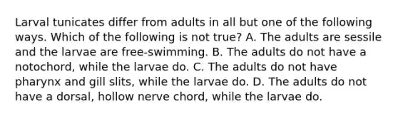 Larval tunicates differ from adults in all but one of the following ways. Which of the following is not true? A. The adults are sessile and the larvae are free-swimming. B. The adults do not have a notochord, while the larvae do. C. The adults do not have pharynx and gill slits, while the larvae do. D. The adults do not have a dorsal, hollow nerve chord, while the larvae do.