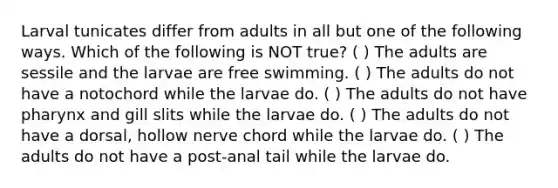 Larval tunicates differ from adults in all but one of the following ways. Which of the following is NOT true? ( ) The adults are sessile and the larvae are free swimming. ( ) The adults do not have a notochord while the larvae do. ( ) The adults do not have pharynx and gill slits while the larvae do. ( ) The adults do not have a dorsal, hollow nerve chord while the larvae do. ( ) The adults do not have a post-anal tail while the larvae do.