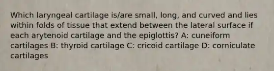 Which laryngeal cartilage is/are small, long, and curved and lies within folds of tissue that extend between the lateral surface if each arytenoid cartilage and the epiglottis? A: cuneiform cartilages B: thyroid cartilage C: cricoid cartilage D: corniculate cartilages