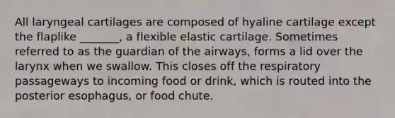 All laryngeal cartilages are composed of hyaline cartilage except the flaplike _______, a flexible elastic cartilage. Sometimes referred to as the guardian of the airways, forms a lid over the larynx when we swallow. This closes off the respiratory passageways to incoming food or drink, which is routed into the posterior esophagus, or food chute.