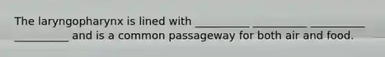 The laryngopharynx is lined with __________ __________ __________ __________ and is a common passageway for both air and food.
