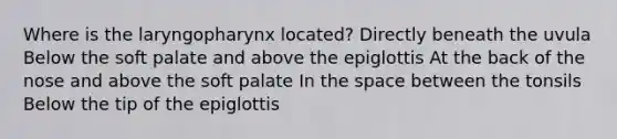 Where is the laryngopharynx located? Directly beneath the uvula Below the soft palate and above the epiglottis At the back of the nose and above the soft palate In the space between the tonsils Below the tip of the epiglottis