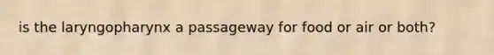 is the laryngopharynx a passageway for food or air or both?