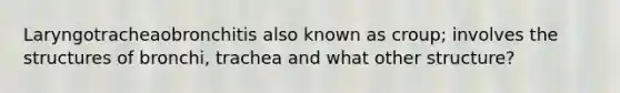 Laryngotracheaobronchitis also known as croup; involves the structures of bronchi, trachea and what other structure?