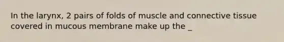 In the larynx, 2 pairs of folds of muscle and connective tissue covered in mucous membrane make up the _