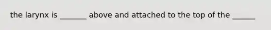 the larynx is _______ above and attached to the top of the ______