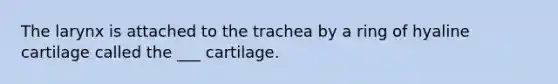 The larynx is attached to the trachea by a ring of hyaline cartilage called the ___ cartilage.