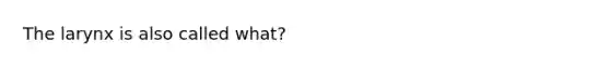 The larynx is also called what?