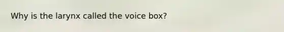 Why is the larynx called the voice box?