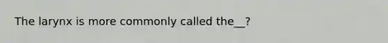 The larynx is more commonly called the__?