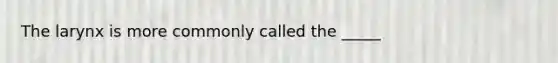 The larynx is more commonly called the _____