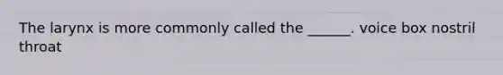 The larynx is more commonly called the ______. voice box nostril throat