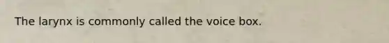 The larynx is commonly called the voice box.