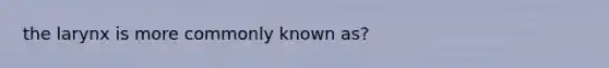 the larynx is more commonly known as?